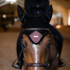 Bonnet Cheval Equestrian Stockholm Mahogany Glimmer