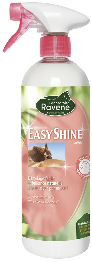 Easy Shine Ravene